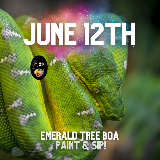 Paint 🎨 & Sip 🍷: Paint An Emerald Tree Boa  🐍   - 21+ Adults Only Event | Wednesday, June 12th