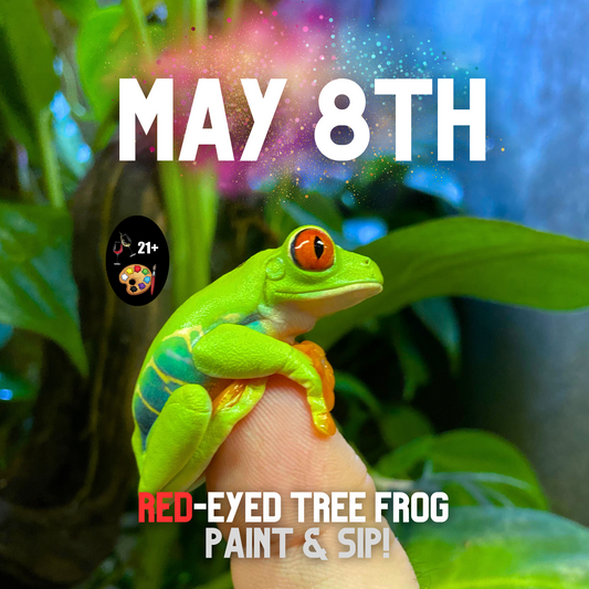 Paint 🎨 & Sip 🍷: Paint A Red-Eyed Tree Frog  🐸  - 21+ Adults Only Event | Wednesday, May 8th