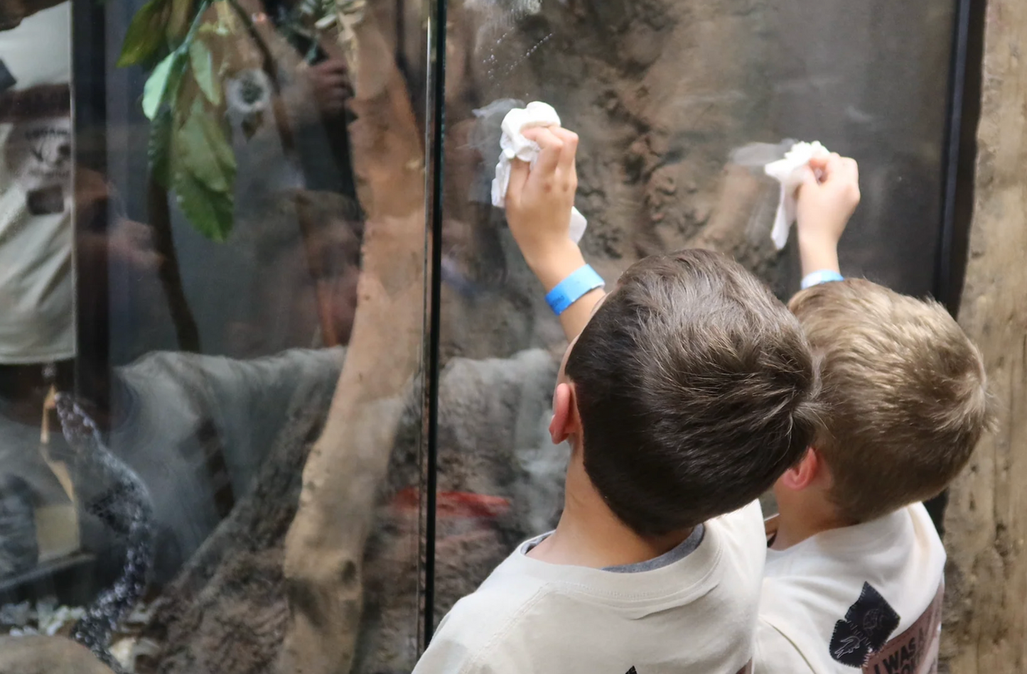 Junior Zookeeper Day at The Reptarium - Wednesday, April 24th - 5:00 PM - 7:00 PM