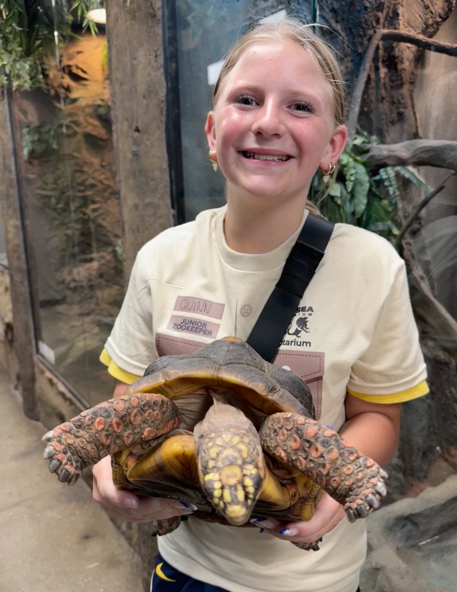 Junior Zookeeper Day at The Reptarium - Ages 6-12 - Wednesday, November 13th - 6:00PM - 8:00PM