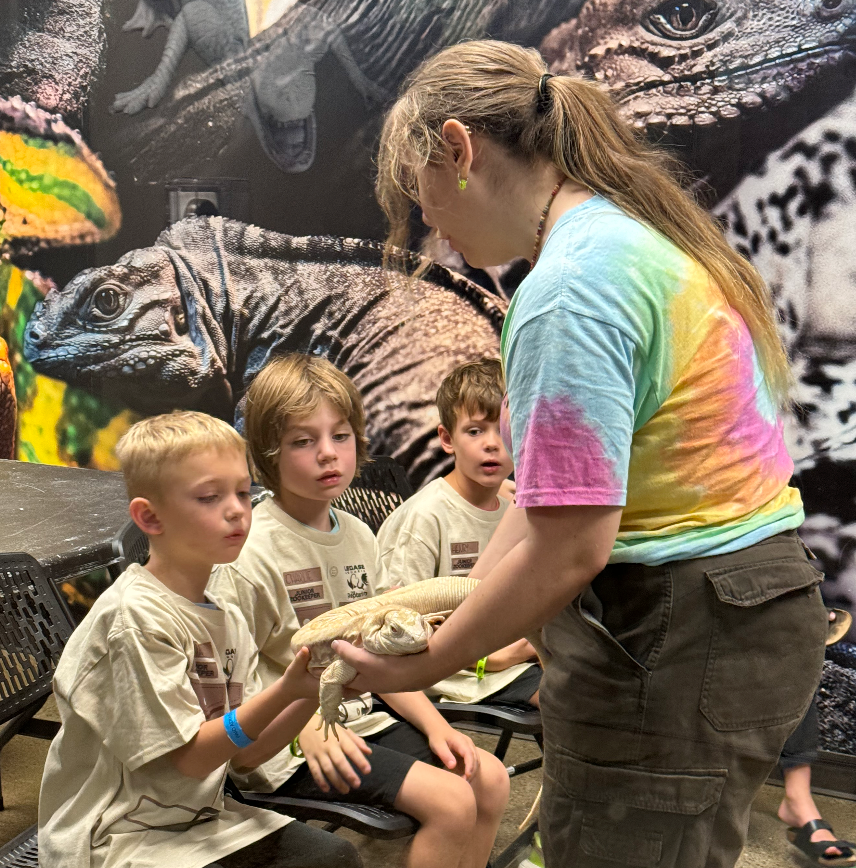 Junior Zookeeper Day at The Reptarium - Ages 6-12 - Wednesday, November 13th - 6:00PM - 8:00PM