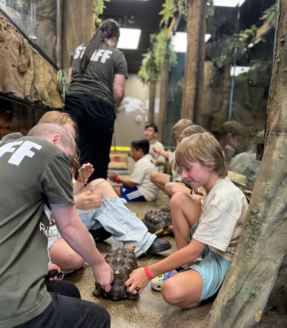 Junior Zookeeper Day at The Reptarium - Ages 6-12 - Wednesday, November 13th - 6:00PM - 8:00PM