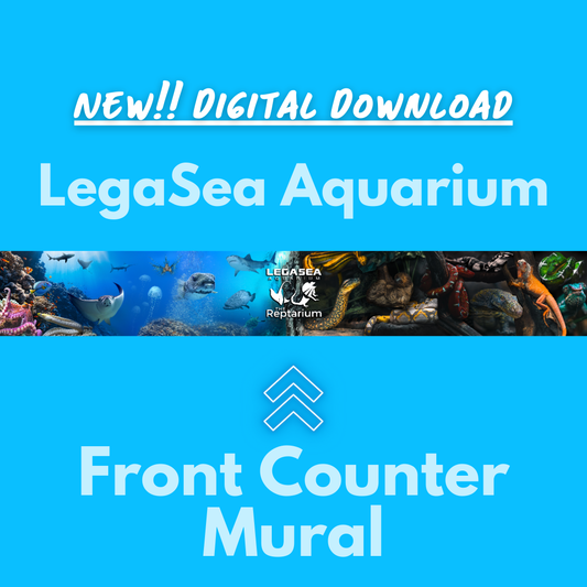 LegaSea Aquarium Front Counter Mural Digital Download